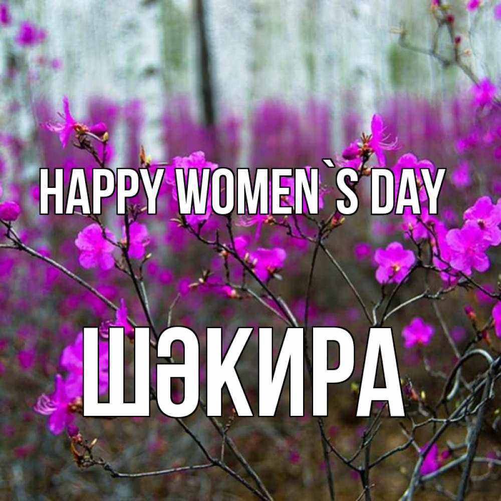 Greetings card с именем, ШӘКИРА happy women`s day дикие цветы Greetings with text for free download 